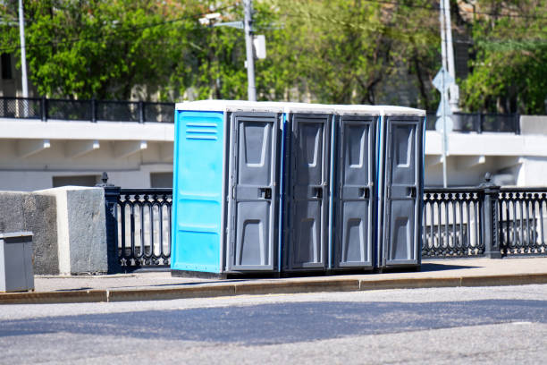 Best Affordable porta potty rental  in Fellsmere, FL
